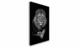 obraz-na-plotnie-089-lew-70x100cm