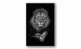 obraz-na-plotnie-089-lew-70x100cm-stan-nowy