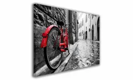 obraz-na-plotnie-090-rower-w-miescie-100x70cm
