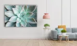 obraz-na-plotnie-098-sukulent-100x70cm-szerokosc-cm-91-100