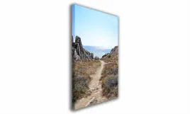 obraz-na-plotnie-100-sciezka-nad-morze-70x100cm