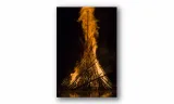 obraz-na-plotnie-115-plomien-70x100cm-stan-nowy