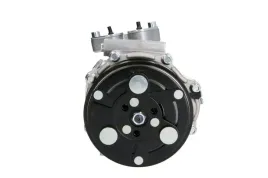 kompresor-klimatyzacji-cs20351-del