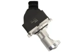 zawor-egr-eg10431-12b1-del