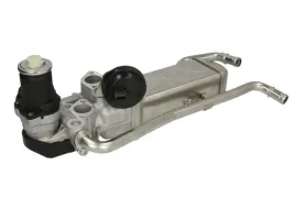 zawor-egr-eg10589-12b1-del