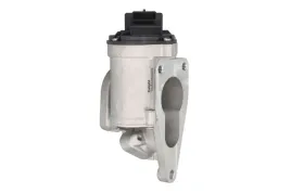 zawor-egr-eg10631-12b1-del