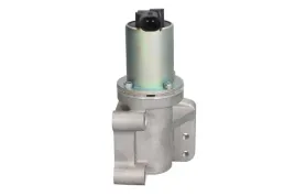 zawor-egr-eg10649-12b1-del