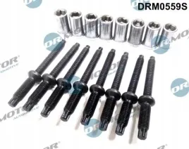 zestaw-srub-wtryskiwacza-citroen-c4-16hdi-03-16-elementow-dr-motor-automo