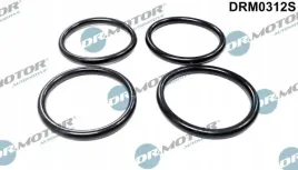 zestaw-uszczelek-kol-ss-fiat-scudo-19d-96-dr-motor-automotive-drm0312s