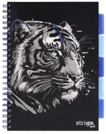 kolozeszyt-strigo-a4-project-book-tygrys-czarny-kratka