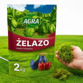 nawoz-siarczan-zelaza-na-mech-w-trawniku-chloroze-lisci-hortensji-azali-roz