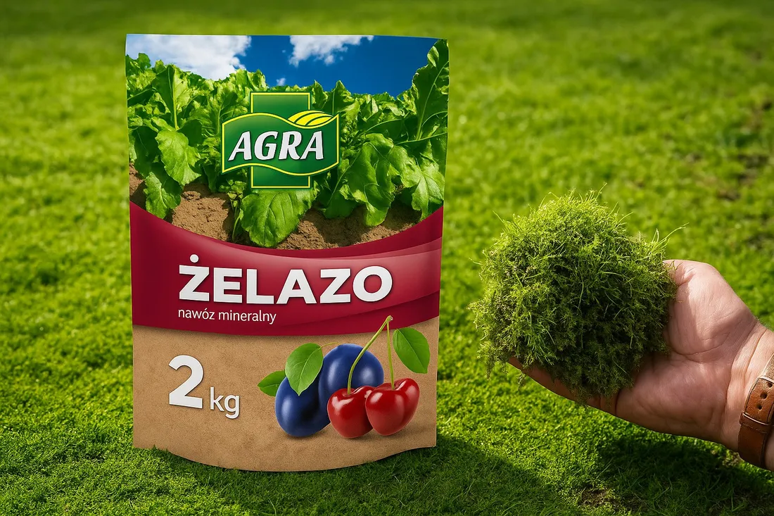 nawoz-siarczan-zelaza-na-mech-w-trawniku-chloroze-lisci-hortensji-azali-roz