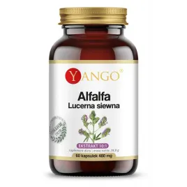 yango-alfalfa-lucerna-siewna-60-kaps