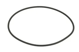 uszczelka-skrzyni-biegow-0501322910zf