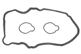 zestaw-uszczelek-pokrywy-zaworow-56038500-ajusa