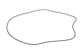 oring-0501325573zf