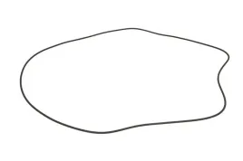 oring-0501325573zf