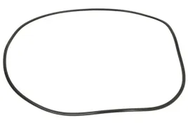 uszczelniacz-skrzyni-biegow-0501325800zf