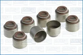 zestaw-uszczelniaczy-trzonka-zaworow-57009900-ajusa