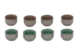 zestaw-uszczelniaczy-trzonka-zaworow-57060400-ajusa