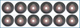zestaw-uszczelniaczy-trzonka-zaworow-57074400-ajusa