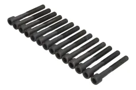 zestaw-srub-glowicy-cylindrow-81014600-ajusa