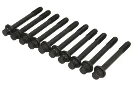 zestaw-srub-glowicy-cylindrow-81024100-ajusa