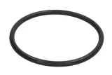 oring-0501331347zf