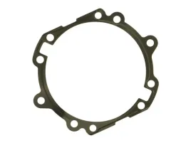 uszczelka-skrzyni-biegow-0501331906zf