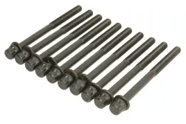 zestaw-srub-glowicy-cylindrow-81028900-ajusa