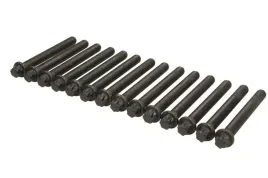 zestaw-srub-glowicy-cylindrow-81029600-ajusa