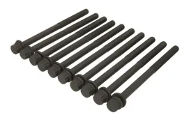 zestaw-srub-glowicy-cylindrow-81030200-ajusa