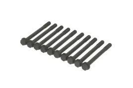 zestaw-srub-glowicy-cylindrow-81031500-ajusa