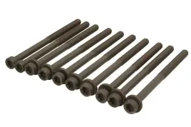 zestaw-srub-glowicy-cylindrow-81041900-ajusa