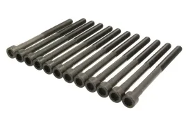 zestaw-srub-glowicy-cylindrow-81043400-ajusa