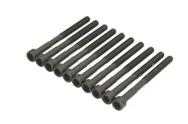 zestaw-srub-glowicy-cylindrow-81045500-ajusa