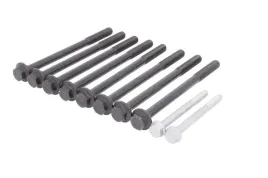 zestaw-srub-glowicy-cylindrow-81051900-ajusa