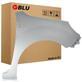 blu-blotnik-renault-kangoo-2-d69-prawy-srebrny-2008-2013-gris-platine-met