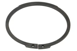 pierscien-zabezpieczajacy-0630501173zf