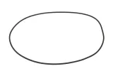 oring-0634304243zf