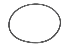 oring-skrzyni-biegow-0634313369zf