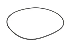 oring-skrzyni-biegow-0634313796zf
