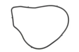 uszczelka-pompy-cieczy-chlodzacej-aju01261900