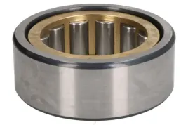 lozysko-mech-skrzyni-biegow-0635450098zf