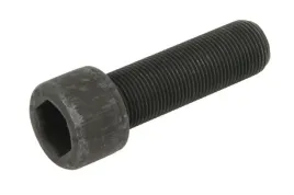 elementy-mocowania-skrzyni-biegow-0636101829zf