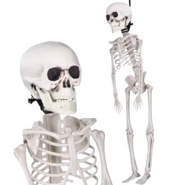 szkielet-czlowieka-sztuczny-kosciotrup-wiszacy-dekoracja-na-halloween-40cm