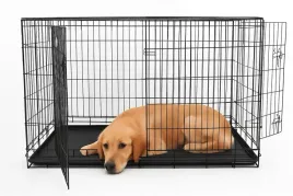 klatka-dla-psa-kota-metalowa-kennel-kojec-transportowa-do-samochodu-xxl