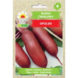 burak-cwiklowy-podluzny-opolski-10g