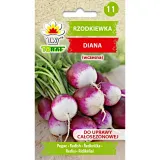 rzodkiewka-diana-5g