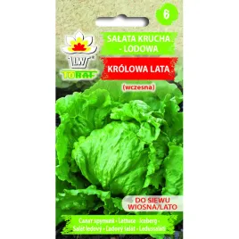 salata-krucha-lodowa-krolowa-lata-1g